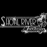 GLT101 SILVER GLITTER Thumbnail