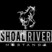 GLT55 SILVER GLITTER Thumbnail