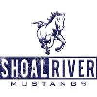 GLT55 BLUE GLITTER Thumbnail